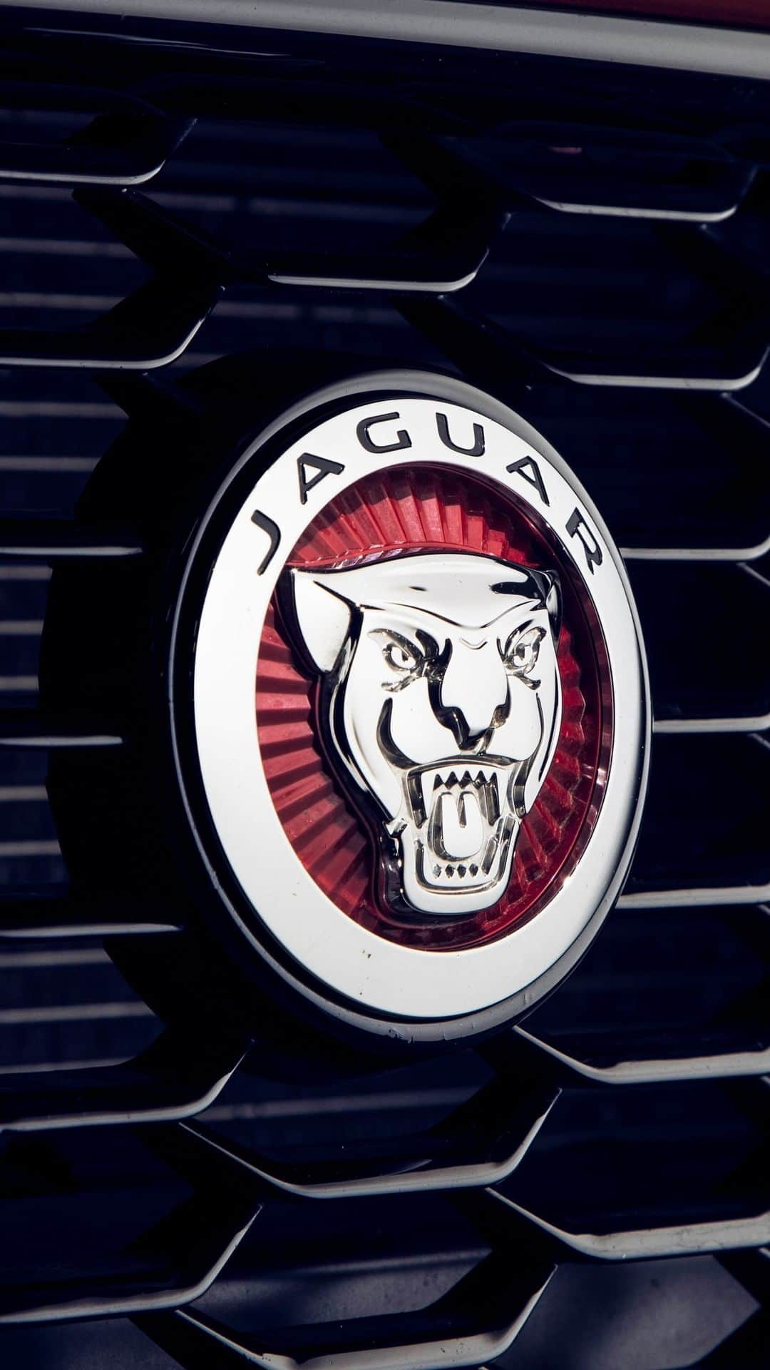 Jaguarのインスタグラム