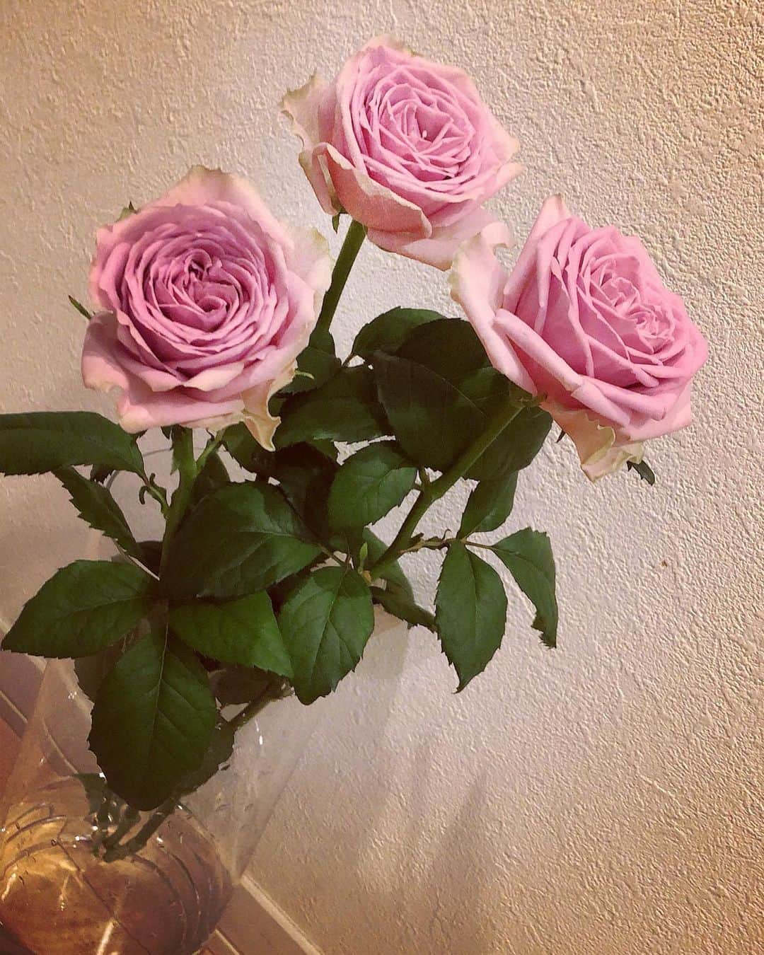 辻やすこのインスタグラム：「7月のお花💐 ピンクに少し紫がかったローズ🌹 名前なんて言うかお店のお姉さんに 聞くの忘れちゃった👏  #花のある暮らし  #花のある生活  #花 #ローズ #薔薇 #薔薇のある暮らし  #rose #life」