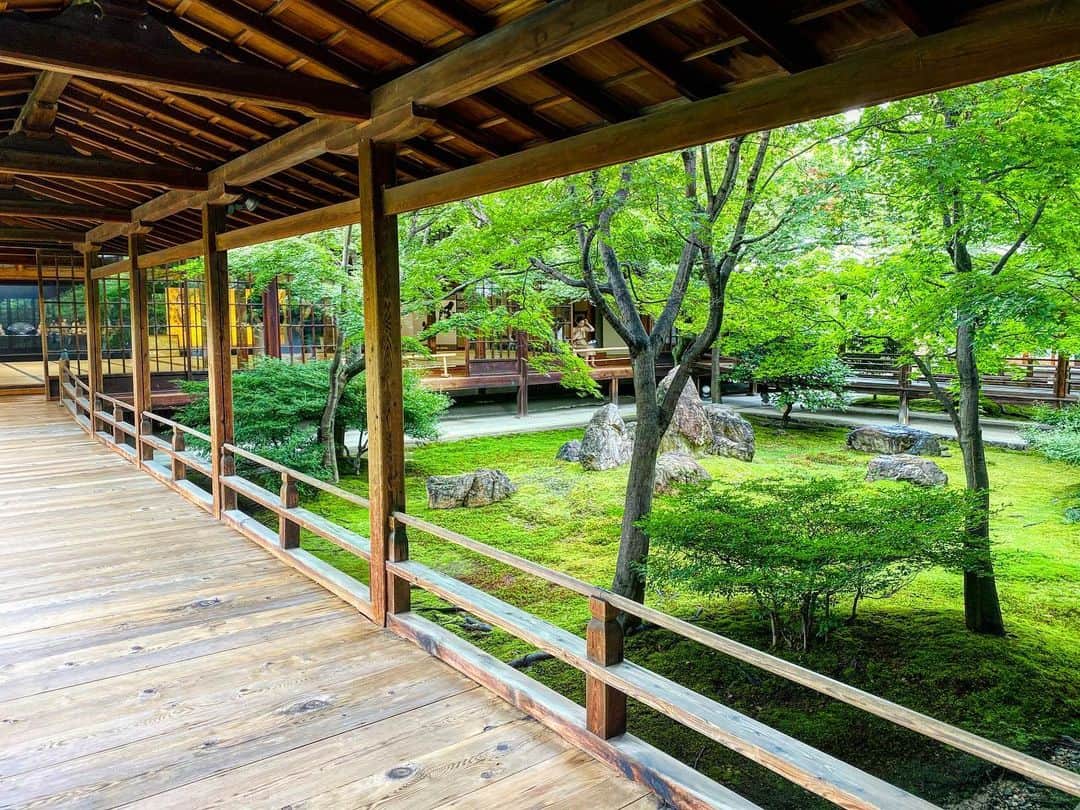 Hiroe Hiranoさんのインスタグラム写真 - (Hiroe HiranoInstagram)「#建仁寺 は、禅の教えを伝える﻿ 京都最古の禅寺。﻿ ﻿ 800年以上過ぎた今も美しく重厚感ある空間。﻿ ﻿ 国宝の「風神雷神図」、枯山水の庭園。﻿ 「潮音庭」四角い形の庭を囲み、﻿ 吹き抜けになっている庭園は魅了され﻿、 時間があっという間に経っていた。 ﻿ そして、両足院も。﻿ 初夏の特別拝観の時期とぴったりで✨﻿ 半夏生が見ごろでお見事でした🌟 ﻿ ﻿ 観音様の変化の表れを意味する﻿ 「汎下生」（ハンゲショウ）とも言われるそう。﻿ ﻿ 心が豊かになる時を、 過ごすことができ感動しました。 座禅体験もされているそう。  この素晴らしい空間で育ったひとみ先生👘﻿ さすがでした。﻿ 素晴らしい時間をありがとうございました✨﻿ @hitomiito_  ﻿ 改めて日本人として日本の歴史、 美しさの根源を巡りたいと感じた時間。﻿ またゆっくり京都に行きます🇯🇵﻿ ﻿ #京都　#kyoto #traditional #伝統　#日本　#japan #temple #寺」7月4日 21時21分 - hiroe_hirano