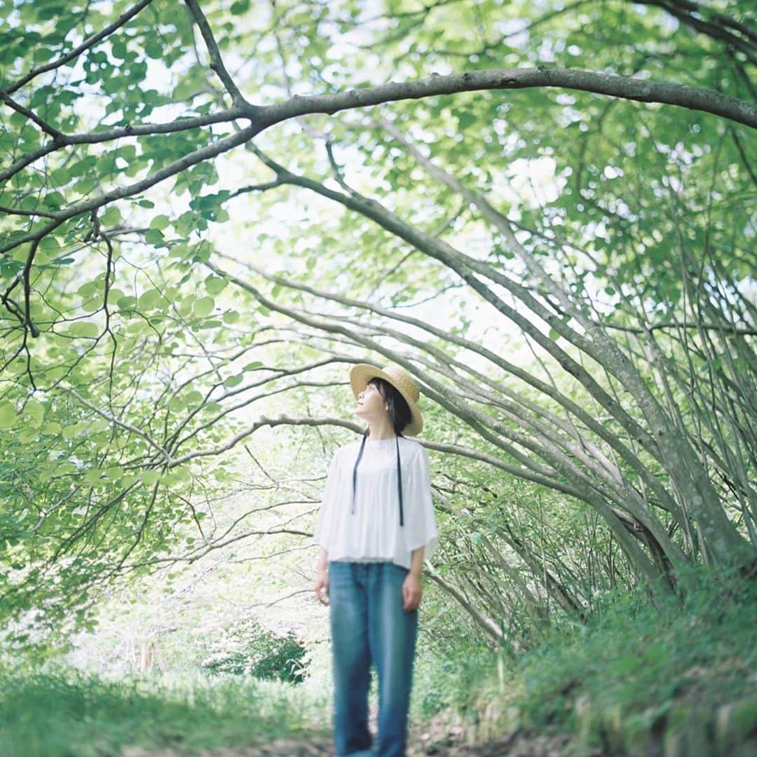 shinichi38のインスタグラム：「﻿ ﻿ Forest tunnel 🌿﻿」