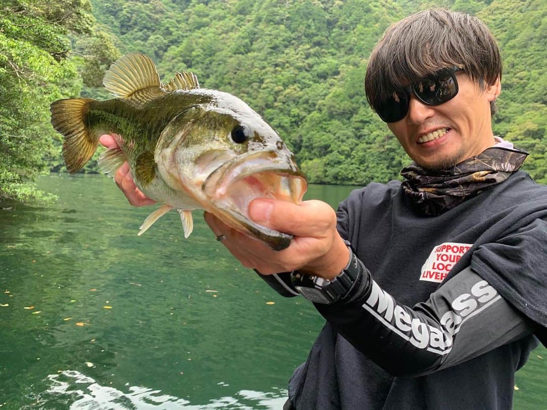 HASSYのインスタグラム