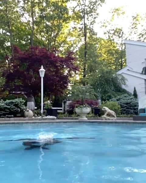 ワイクリフ・ジョンのインスタグラム：「Early morning swim !!!God is Great heading to my moms today Barbecue day !!」