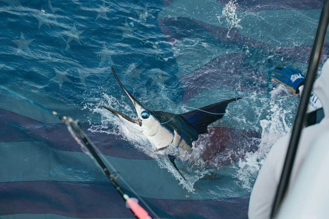 のインスタグラム：「Today, we raise the flag. #4thofJuly #SeeWhatsOutThere 📷: @austincoit」