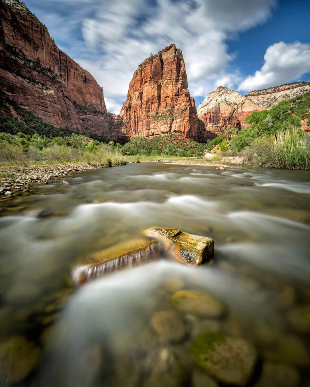 アンジー・ペインさんのインスタグラム写真 - (アンジー・ペインInstagram)「More scenes from in and around the Virgin River in Zion National Park  @visitutah  • • • #macro #macrophotography #landscape #landscapephotography」7月4日 23時38分 - angelajpayne