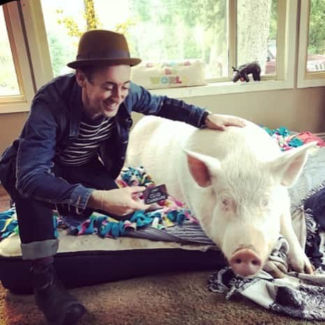 アラン・カミングさんのインスタグラム写真 - (アラン・カミングInstagram)「Because #PrideNeverStops today I am honoring my friend @estherthewonderpig and her dads Steve and Derek. They have changed so many lives with their messages of compassion, equality, veganism and animal rights. They embody the #SpiritofSuperbia . . . . . One in four LGBTQ+ people are discriminated against simply because of who they are.  But did you know that discrimination covers every aspect of a queer person's life? For example same sex couples are 73% more likely to be refused a mortgage than heterosexual couples. It’s legal in most US states for financial institutions to let gender identity or sexual orientation influence their decisions on giving loans, or credit cards, and even if LGBTQ+ people do get loans or other banking products, it can be at higher rates than for  straight people, and there is no legal recourse to this prejudice.     Not for long! I’m so excited to tell you that I am the Honorary Board Chair of Superbia, the first-ever safe space for LGBTQ+ people to get financial products and services, free from the risk of discrimination! Over the coming months and years, Superbia will begin offering the community new banking, insurance, healthcare and investment options that put LGBTQ+ needs first AND 10% of all revenue will be returned to LGBTQ+ initiatives and organizations working to advance our social and economic equality!      Click on the link in the Superbia bio and become a Superbia member to make a positive financial change for yourself and LGBTQ+ people everywhere!    To celebrate, for the next month, I am going to honour someone each day who I think embodies the #SpiritofSuperbia - that true equality only comes when we have the freedom of universal acceptance, the autonomy to make our own choices, and the possibility to live our own dreams   # prideneverstops #pridenextera @superbiaservices」7月5日 0時10分 - alancummingreally