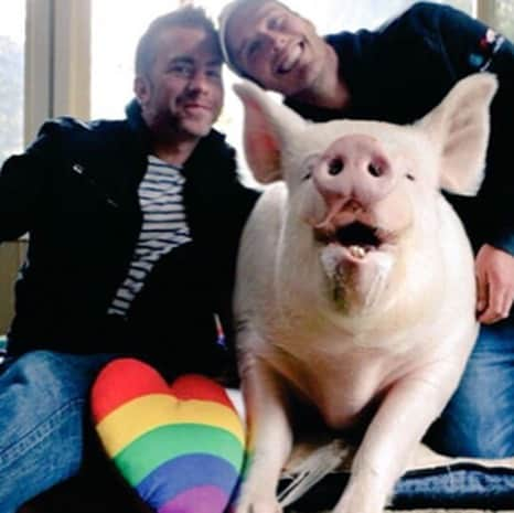 アラン・カミングさんのインスタグラム写真 - (アラン・カミングInstagram)「Because #PrideNeverStops today I am honoring my friend @estherthewonderpig and her dads Steve and Derek. They have changed so many lives with their messages of compassion, equality, veganism and animal rights. They embody the #SpiritofSuperbia . . . . . One in four LGBTQ+ people are discriminated against simply because of who they are.  But did you know that discrimination covers every aspect of a queer person's life? For example same sex couples are 73% more likely to be refused a mortgage than heterosexual couples. It’s legal in most US states for financial institutions to let gender identity or sexual orientation influence their decisions on giving loans, or credit cards, and even if LGBTQ+ people do get loans or other banking products, it can be at higher rates than for  straight people, and there is no legal recourse to this prejudice.     Not for long! I’m so excited to tell you that I am the Honorary Board Chair of Superbia, the first-ever safe space for LGBTQ+ people to get financial products and services, free from the risk of discrimination! Over the coming months and years, Superbia will begin offering the community new banking, insurance, healthcare and investment options that put LGBTQ+ needs first AND 10% of all revenue will be returned to LGBTQ+ initiatives and organizations working to advance our social and economic equality!      Click on the link in the Superbia bio and become a Superbia member to make a positive financial change for yourself and LGBTQ+ people everywhere!    To celebrate, for the next month, I am going to honour someone each day who I think embodies the #SpiritofSuperbia - that true equality only comes when we have the freedom of universal acceptance, the autonomy to make our own choices, and the possibility to live our own dreams   # prideneverstops #pridenextera @superbiaservices」7月5日 0時10分 - alancummingreally