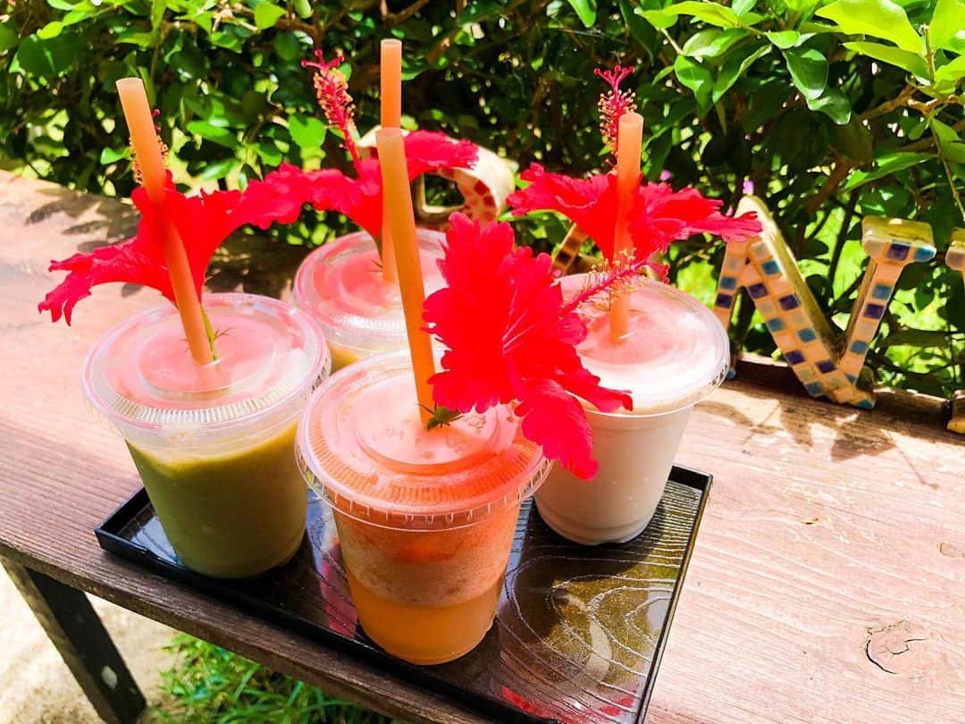 秋定麻紀子のインスタグラム：「薬草スムージーが美味しくて毎日飲みたい。 グルテン摂取で重くなった私の身体は昼間の食事をスムージーに切り替えてとてもスッキリした。 ココでスムージー2種類も買っちゃった（笑）  東京でも朝と昼は正直スムージーや植物性プロテインで満足だし、身体が軽いから良い。」