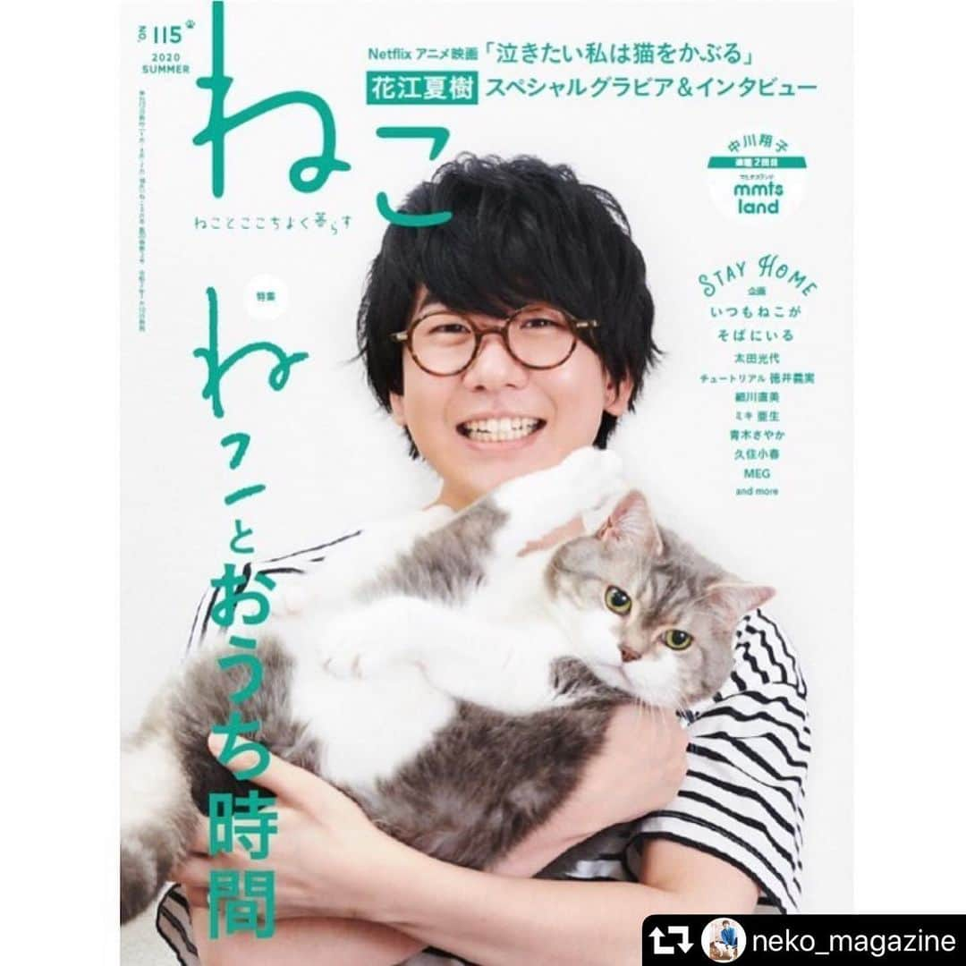 sancheloveさんのインスタグラム写真 - (sancheloveInstagram)「﻿﻿﻿﻿@neko_magazine さんからのリポストです🙏☺️。 7月10日発売の新刊「ねこ 115号」の表紙で花江夏樹さんに抱っこされてる猫！にゃんとも光栄なことにタバ様にゃのです！😹❤️ この日の撮影はタバサとうららで参加させていただきました。  花江さんはNetflixで配信中のアニメ映画「泣きたい私は猫をかぶる」の中で、ムゲが花江さん演じる日之出を『ちっちゃい子みたいな笑顔』と表現するセリフがありますが、本当にそのセリフにピッタリの素敵な笑顔をタバサやうららにも向けてくださっています😍☺️❤️✨今から発売がとっても楽しみです！ぜひご覧ください📖🐈❤️。  #repost @neko_magazine ・・・ ジャン✨ジャン✨📣 いつも私たちのインスタを見てくださってるフォロワーの皆さまへ一足早くお知らせ❣️👀 7月10日(金)発売の新刊‼️📚「ねこ 115号」の表紙を飾ってくださるのは、人気声優の花江夏樹さん👦🏻🎤✨ 現在、Netflixで配信スタートしているアニメーション映画『泣きたい私は猫をかぶる』にて声の出演をしている花江さん😊✨ご自身も猫を飼われており、作品とねこ愛について、たっぷりとお話して頂きましたっ👏🏻💓 『泣きたい私は猫をかぶる』ほか、アニメ『鬼滅の刃』の炭治郎役としても大活躍✨の花江さんっ😻👏🏻💐 花江さんと、ねこちゃんの可愛い2ショットたくさん掲載されています🗽📸ぜひぜひ楽しみにしていてくださいね〜♫ #neko_magazine #NEKONOBA #ねこマガジン #ネコノバ #ねこ #猫 #cat #catstagram #cat #雑誌ねこ #ねこ115号 #花江夏樹 #泣きたい私は猫をかぶる」7月5日 14時42分 - sanchelove