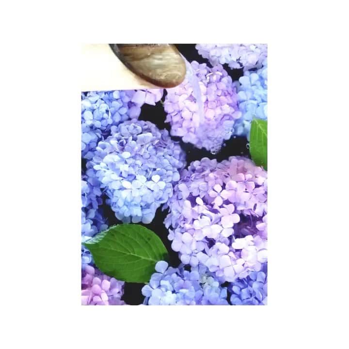 石田佳蓮のインスタグラム：「🌈 水の音×紫陽花☔️💕 癒されるーっ！！  #水の音　#紫陽花　#梅雨」