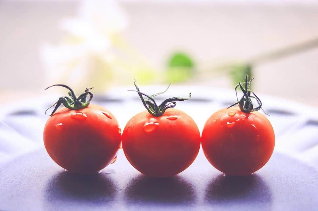 みき みーやんさんのインスタグラム写真 - (みき みーやんInstagram)「. 毎日絶対に食べる野菜🍅💕 . . @girlydrop  #tomato #トマト #プチトマト #🍅 #トマトジュース」7月5日 8時37分 - mi_yan0101