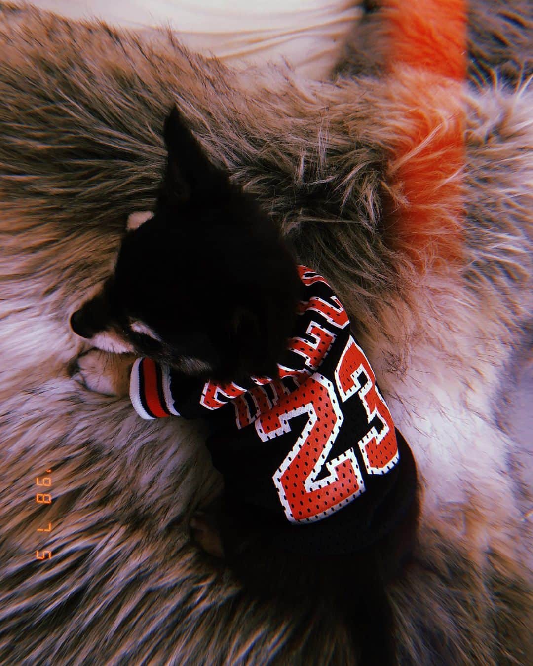 山田ひなののインスタグラム：「23 🏀 @babyalfa_sakura」