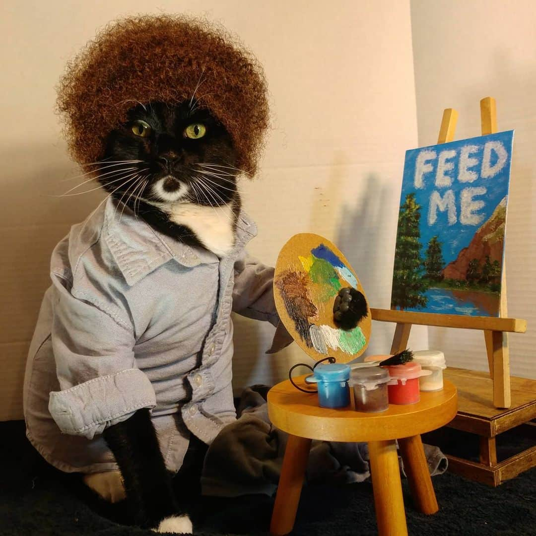 猫コスプレさんのインスタグラム写真 - (猫コスプレInstagram)「“There are no meowstakes, only happy accidents.”  Happy #BobRossDay!  #BobRoss . . . . . . . . #bobrosscosplay #cat #catcostume #catsinclothes #catsofinstagram #catstagram #Caturday #catcosplay #cosplay #cosplayer #thejoyofpainting」7月5日 10時10分 - cat_cosplay