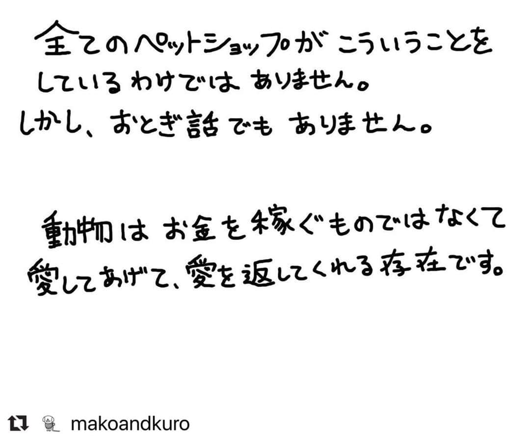 二階堂ふみさんのインスタグラム写真 - (二階堂ふみInstagram)「先程リポストさせて頂いたイラストは @makoandkuro さんが描かれたものでした。 リポストにリポストを重ね、、、大変失礼しました。  愛して、愛を返してくれる存在という、言葉に共感です。 mako and kuroさん、ありがとうございます。  #動物のための数値規制を   #Repost @makoandkuro with @make_repost ・・・ #数値規制  人生を犬に助けられた者です。私も動ける時にできることをします🐕‍🦺  動物が身近出ない人でも知って欲しいです、知ってくれる人が増えるだけでも大事だと思うのです。  二階堂ふみさんのインスタで行動ができます。@fumi_nikaido  動物の問題は数値規制の他たくさんあります。それぞれに対策はいくつかあります。 でも1番は今自分の側にいる動物を死ぬまで大切にすることかと思います。  #犬 #猫 #動物 #犬好きな人と繋がりたい #猫好きさんと繋がりたい #犬のいる暮らし #猫のいる暮らし #イラスト #動物好きな人と繋がりたい #パピーミル撲滅 #ペットショップ」7月5日 10時12分 - fumi_nikaido