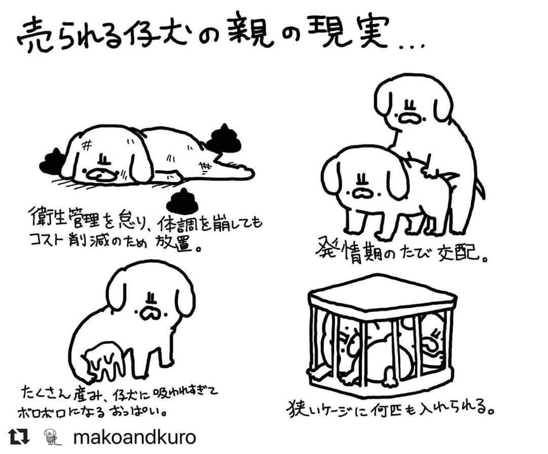 二階堂ふみさんのインスタグラム写真 - (二階堂ふみInstagram)「先程リポストさせて頂いたイラストは @makoandkuro さんが描かれたものでした。 リポストにリポストを重ね、、、大変失礼しました。  愛して、愛を返してくれる存在という、言葉に共感です。 mako and kuroさん、ありがとうございます。  #動物のための数値規制を   #Repost @makoandkuro with @make_repost ・・・ #数値規制  人生を犬に助けられた者です。私も動ける時にできることをします🐕‍🦺  動物が身近出ない人でも知って欲しいです、知ってくれる人が増えるだけでも大事だと思うのです。  二階堂ふみさんのインスタで行動ができます。@fumi_nikaido  動物の問題は数値規制の他たくさんあります。それぞれに対策はいくつかあります。 でも1番は今自分の側にいる動物を死ぬまで大切にすることかと思います。  #犬 #猫 #動物 #犬好きな人と繋がりたい #猫好きさんと繋がりたい #犬のいる暮らし #猫のいる暮らし #イラスト #動物好きな人と繋がりたい #パピーミル撲滅 #ペットショップ」7月5日 10時12分 - fumi_nikaido