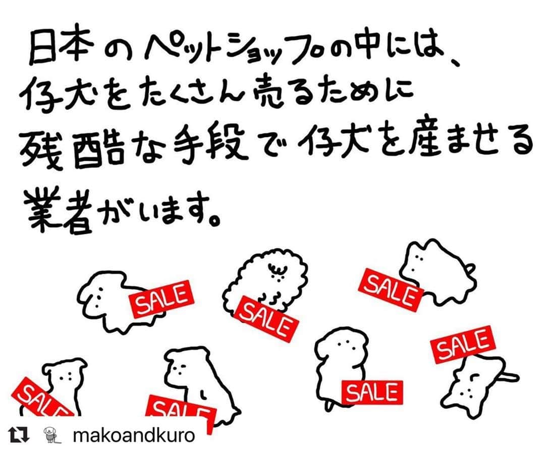 二階堂ふみさんのインスタグラム写真 - (二階堂ふみInstagram)「先程リポストさせて頂いたイラストは @makoandkuro さんが描かれたものでした。 リポストにリポストを重ね、、、大変失礼しました。  愛して、愛を返してくれる存在という、言葉に共感です。 mako and kuroさん、ありがとうございます。  #動物のための数値規制を   #Repost @makoandkuro with @make_repost ・・・ #数値規制  人生を犬に助けられた者です。私も動ける時にできることをします🐕‍🦺  動物が身近出ない人でも知って欲しいです、知ってくれる人が増えるだけでも大事だと思うのです。  二階堂ふみさんのインスタで行動ができます。@fumi_nikaido  動物の問題は数値規制の他たくさんあります。それぞれに対策はいくつかあります。 でも1番は今自分の側にいる動物を死ぬまで大切にすることかと思います。  #犬 #猫 #動物 #犬好きな人と繋がりたい #猫好きさんと繋がりたい #犬のいる暮らし #猫のいる暮らし #イラスト #動物好きな人と繋がりたい #パピーミル撲滅 #ペットショップ」7月5日 10時12分 - fumi_nikaido