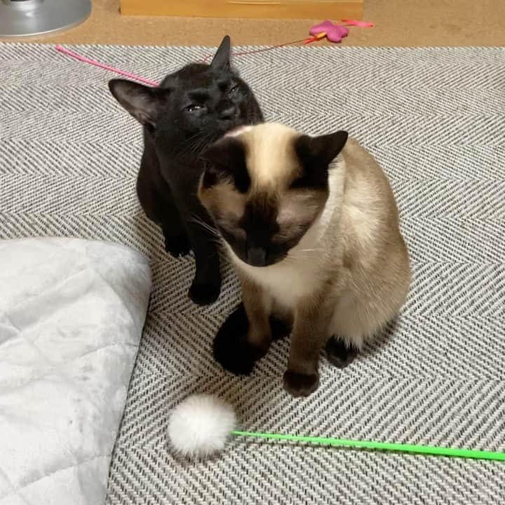 MAKO0MAKO0のインスタグラム
