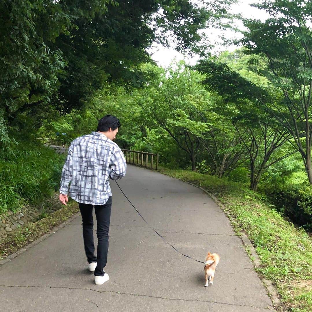 平田雄也さんのインスタグラム写真 - (平田雄也Instagram)「ちくわくんと散歩🚶‍♂️🐕  I'm BANANAを着こなしてました🙋‍♂️笑  #犬　#チワワ　#可愛い」7月5日 11時22分 - yuyastagram620