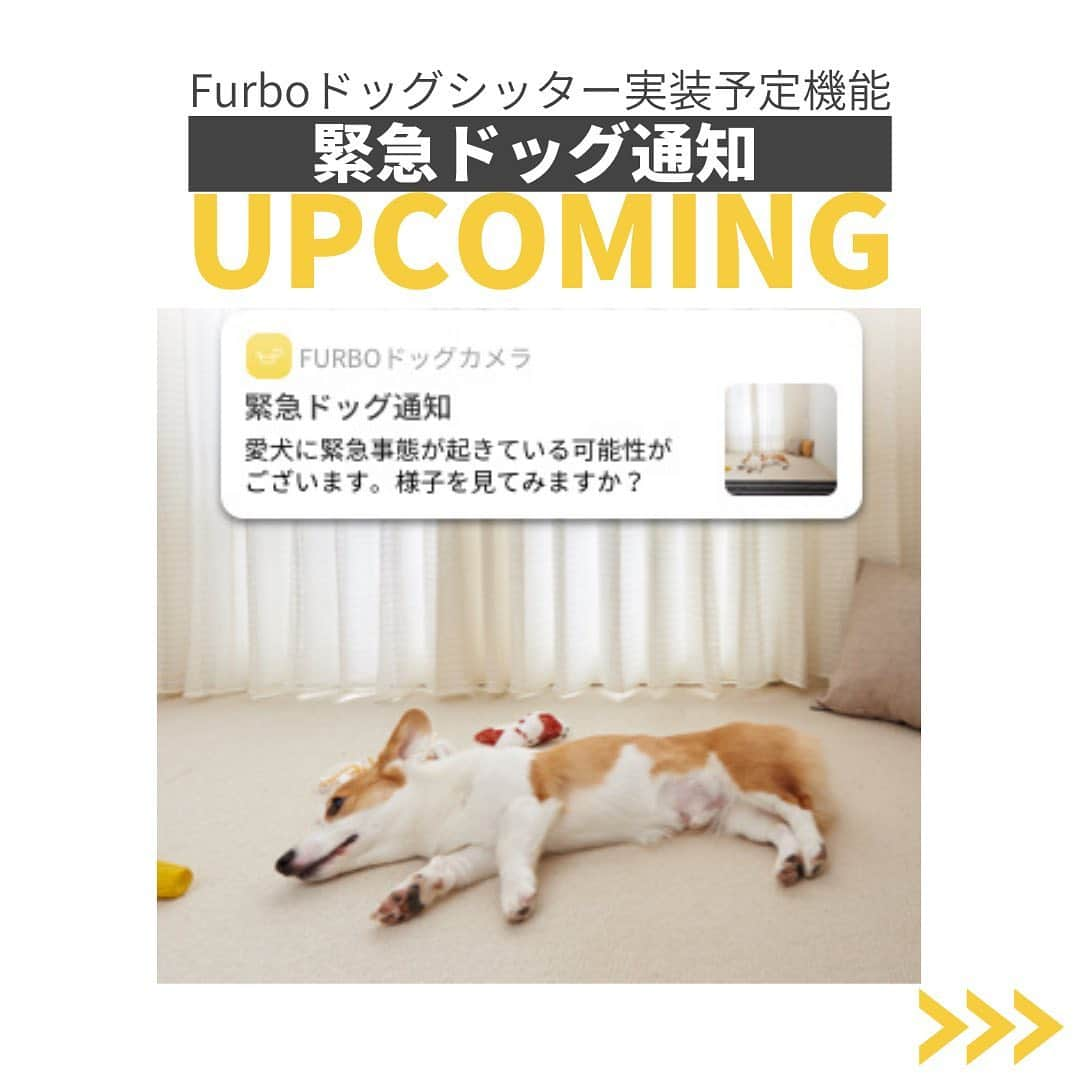 Furbo ドッグカメラさんのインスタグラム写真 - (Furbo ドッグカメラInstagram)「【Furboドッグシッター】今後実装予定！緊急ドッグ通知機能とは？🤔⁠⠀ ⁠⠀ 緊急ドッグ通知機能とは、Furbo搭載のAIがわんちゃんの様子の変化を検知し、アプリを通じて飼い主さんに通知する機能です💡⁠⠀ ⁠⠀ 現在はまだ、Furboドッグシッターサービスにて緊急ドッグ通知機能はご利用頂けませんが（実装時期未定）、愛犬のお留守番中の健康と安全を心配される方には、大注目の機能となっております！🥺⁠⠀ ⁠⠀ 今ならなんと90日間無料でFurboドッグシッターのトライアルが可能！一足先に他の便利機能をお試しされることをおすすめ致します💛⁠⠀ ⁠⠀ *⁠⠀ Furboドッグシッターの詳細につきましては、プロフィールのリンクよりご確認いただけます👀✨⁠⠀ ⁠⠀ ⁠⠀ ⁠⠀ #ファーボ⁠⠀ #Furbo⁠⠀ #ファーボドッグシッター⁠⠀ #ドッグシッター」7月5日 11時51分 - furbo_japan