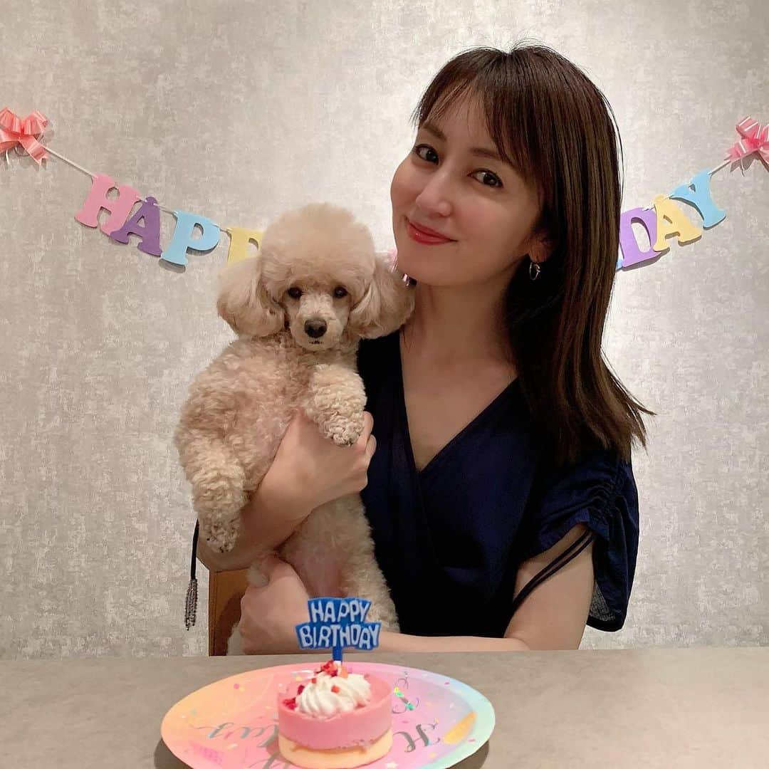 矢田亜希子のインスタグラム