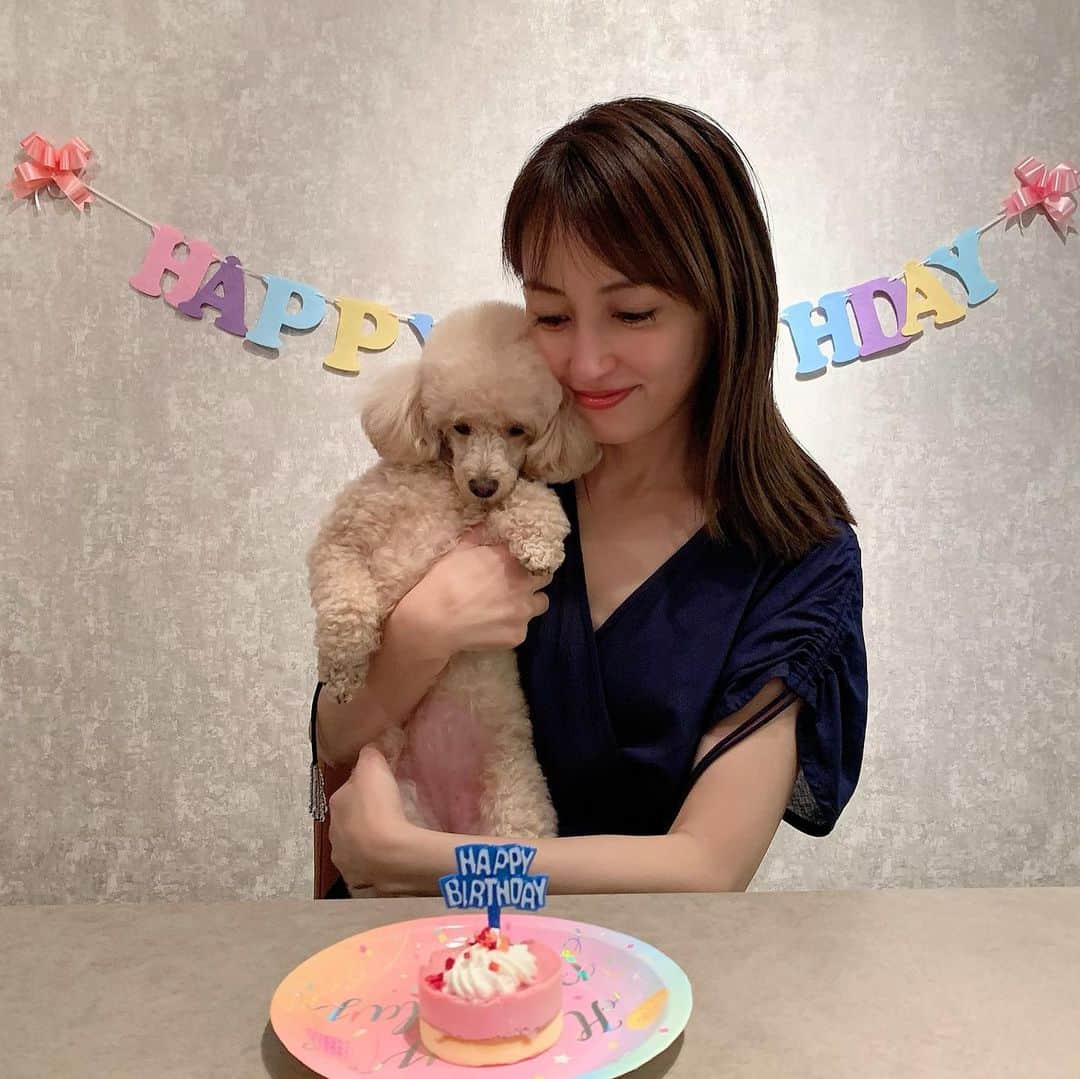 矢田亜希子さんのインスタグラム写真 - (矢田亜希子Instagram)「先日4歳のお誕生日を迎えました❣️ #愛犬#toypoodle #トイプードル#お誕生日#犬用ケーキ#全部は食べていないです#5分の1程度 そしてお知らせです！ 『やまとなでしこ20周年特別編』 2020年7月6日(月)21：00〜22：48 第一夜「ずっと探してた人」 2020年7月13日(月)21：00〜22：48 第二夜「いつか王子様が」 20年前の作品です！ぜひご覧くださいませ！ #やまとなでしこ#私は21歳#2000年#若葉ちゃん#フジテレビ」7月5日 13時04分 - akiko_yada