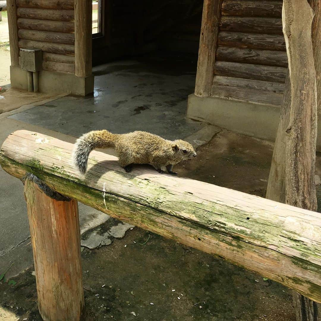 平野由実のインスタグラム