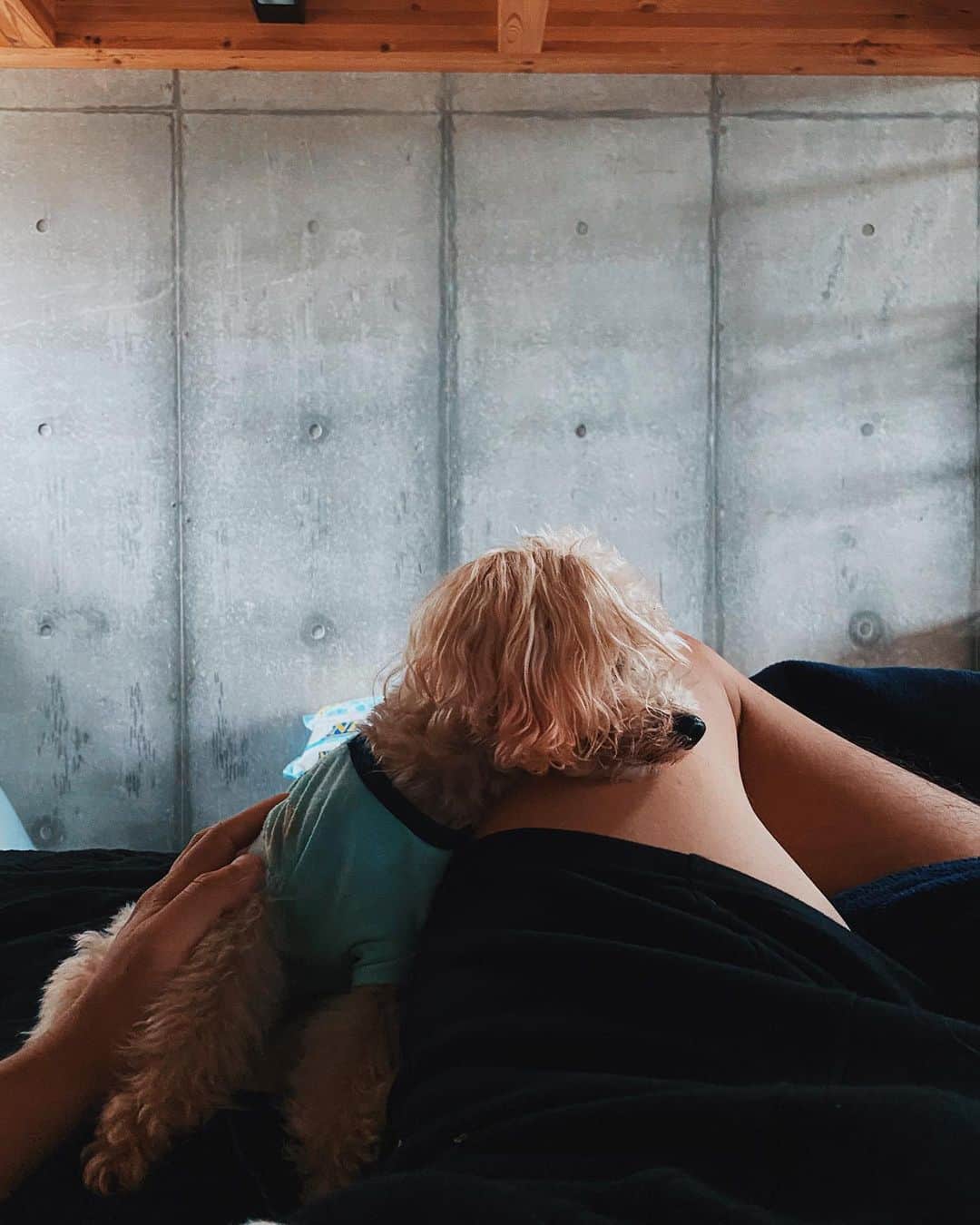 のインスタグラム：「ボブちゃん元気ない😭 早く元気になれよ！👍🏼 #stayhome」