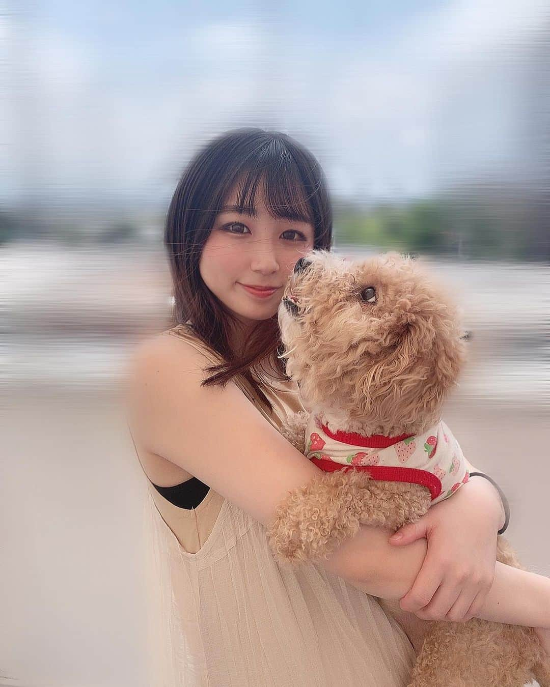 NANAMIさんのインスタグラム写真 - (NANAMIInstagram)「こんにちは〜♡﻿ ﻿ 今日は意外に晴れ間があって嬉しい〜🥰☀️﻿ ﻿ 📸﻿ 犬達も喜んでます🐶🐶❤️❤️﻿ ﻿ ﻿ ﻿ ﻿ 昨日は⚾️﻿ バファローズ逆転勝利✨🤘✨﻿ 気持ちいい試合でしたね😆！﻿ ﻿ 今日は埼玉西武ライオンズとの6戦目🔥﻿ ﻿ ２勝２敗1引き分けなので﻿ 今日は絶対勝ちたいですね！✊🏻🔥﻿ ﻿ ﻿ バファローズfightー！！✊🏻📣﻿ 18:00〜 play ball⚾️🌟﻿ ﻿ ﻿ ﻿ そしてそして﻿ ﻿ 昨日は﻿ 『BsGirls online LIVE2020』🎶﻿ ﻿ 観て下さった皆様、 ありがとうございました💖﻿ ﻿ 楽しんで頂けましたか⁇😍🎵﻿ ﻿ #Bs2020 #orixbuffaloes #baseball #オリックスバファローズ #プロ野球 #bsgirls #野球﻿ #犬 #ビションフリーゼ #トイプードル #ミックス犬 #チワワ」7月5日 13時14分 - nanami_bsgirls_364