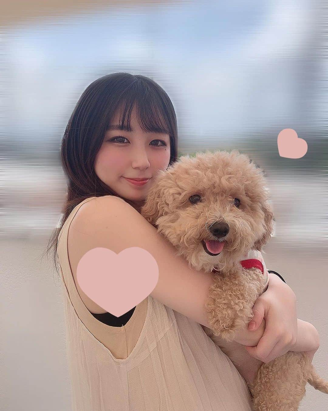 NANAMIさんのインスタグラム写真 - (NANAMIInstagram)「こんにちは〜♡﻿ ﻿ 今日は意外に晴れ間があって嬉しい〜🥰☀️﻿ ﻿ 📸﻿ 犬達も喜んでます🐶🐶❤️❤️﻿ ﻿ ﻿ ﻿ ﻿ 昨日は⚾️﻿ バファローズ逆転勝利✨🤘✨﻿ 気持ちいい試合でしたね😆！﻿ ﻿ 今日は埼玉西武ライオンズとの6戦目🔥﻿ ﻿ ２勝２敗1引き分けなので﻿ 今日は絶対勝ちたいですね！✊🏻🔥﻿ ﻿ ﻿ バファローズfightー！！✊🏻📣﻿ 18:00〜 play ball⚾️🌟﻿ ﻿ ﻿ ﻿ そしてそして﻿ ﻿ 昨日は﻿ 『BsGirls online LIVE2020』🎶﻿ ﻿ 観て下さった皆様、 ありがとうございました💖﻿ ﻿ 楽しんで頂けましたか⁇😍🎵﻿ ﻿ #Bs2020 #orixbuffaloes #baseball #オリックスバファローズ #プロ野球 #bsgirls #野球﻿ #犬 #ビションフリーゼ #トイプードル #ミックス犬 #チワワ」7月5日 13時14分 - nanami_bsgirls_364