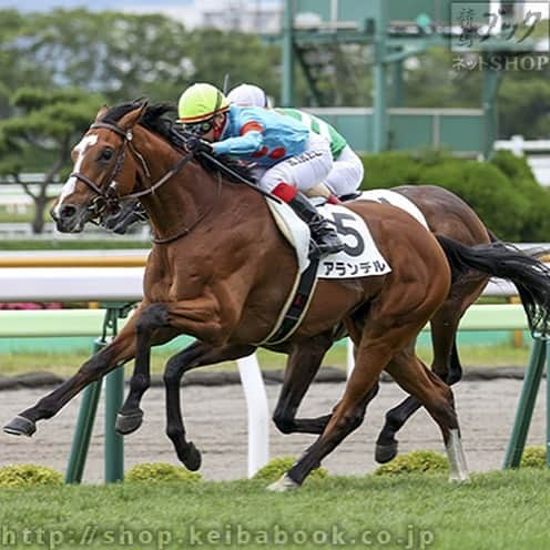 池添謙一さんのインスタグラム写真 - (池添謙一Instagram)「今年初新馬勝ち🏇 #アランデル #競馬ブック」7月6日 0時02分 - kenchan.0723