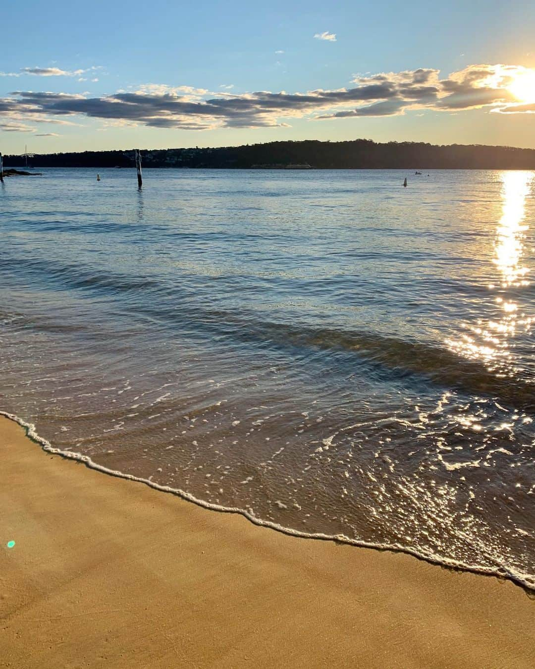 ジマーマンさんのインスタグラム写真 - (ジマーマンInstagram)「A golden winter’s day! x #sydney #australia #zimmermann」7月5日 15時53分 - zimmermann