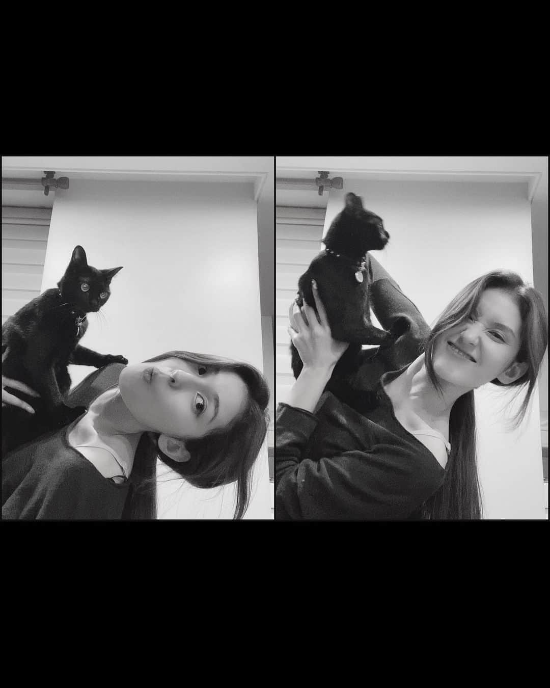 ソミさんのインスタグラム写真 - (ソミInstagram)「ZORRO 는 분명히 인형일꺼야」7月5日 16時17分 - somsomi0309