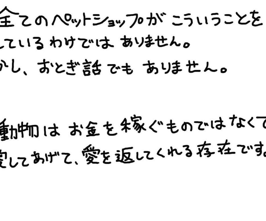 早坂香須子さんのインスタグラム写真 - (早坂香須子Instagram)「ペットショップで動物と出会った方も多いと思いますし、悪徳業者ばかりでは、ありません。  全ての繁殖業者を糾弾する運動ではないと前置きしてでも、言わせて下さい。  過酷な環境で繁殖行為だけさせられ、死ぬまで麻酔なしの帝王切開（業者による😨）を強いられているネコちゃん、ワンちゃんたちもいるのが現実です。  良心的なブリーダーさんのためにも、世界基準の数値規定は必要です。  私は元繁殖犬のダンちゃんを迎えて知ることも多くありました。  以前、6月中にハガキアクションのお願いをポストしましたが、7月も環境省動物愛護管理室でメールを受け付けてるそうですので、　@makoandkuro さんの愛あふれるイラストとメッセージをリポストさせていただきます。  動物愛護から、世界基準の動物福祉の日本へ！  二階堂ふみさんの発信も応援してます！すごい😭✨  追記 メール宛先  moe@env.go.jp  環境省　総務課　動物愛護管理室 長田　啓　室長宛  7月に入ってもメールを受け付けてくださるそうです。 ブログなどでコピペ用記入例を書いてくださっている方もたくさんいます。検索すると出てきます。  よろしくお願いします🙇‍♀️  #世界基準の数値規制  #メールアクション #数値規制  #repost @makoandkuro via @PhotoAroundApp  #数値規制  人生を犬に助けられた者です。私も動ける時にできることをします🐕‍🦺  動物が身近出ない人でも知って欲しいです、知ってくれる人が増えるだけでも大事だと思うのです。  二階堂ふみさんのインスタで行動ができます。@fumi_nikaido  動物の問題は数値規制の他たくさんあります。それぞれに対策はいくつかあります。 でも1番は今自分の側にいる動物を死ぬまで大切にすることかと思います。  #犬 #猫 #動物 #犬好きな人と繋がりたい #猫好きさんと繋がりたい #犬のいる暮らし #猫のいる暮らし #イラスト #動物好きな人と繋がりたい #パピーミル撲滅 #ペットショップ」7月5日 16時28分 - kazukovalentine