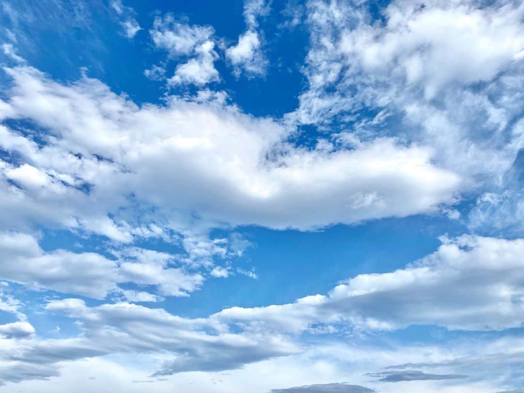 Shinnosukeさんのインスタグラム写真 - (ShinnosukeInstagram)「#空 #sky #青 #白 #雲 #skyblue #cloud」7月5日 17時04分 - shinscapade