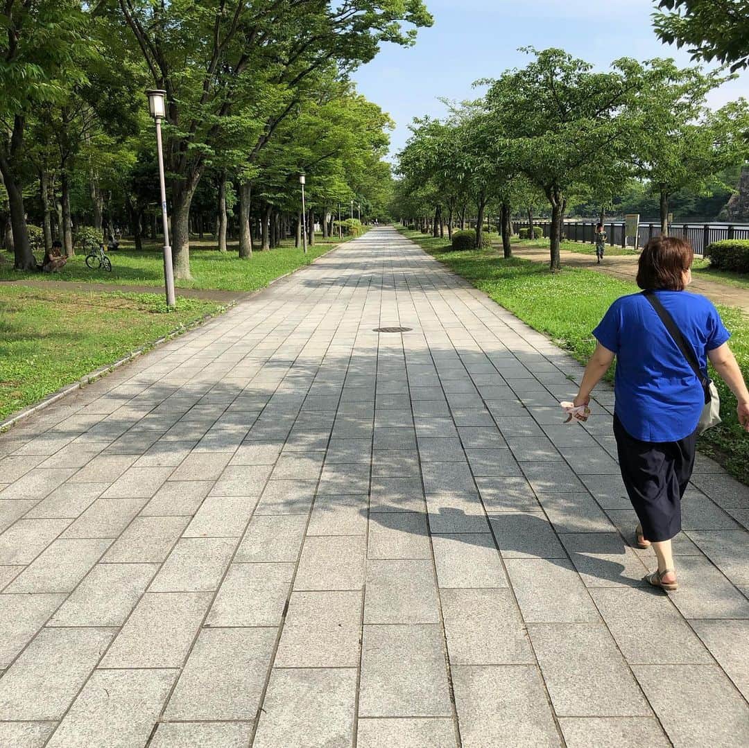 ムッシュピエールさんのインスタグラム写真 - (ムッシュピエールInstagram)「大阪はお天気も良いので買い物ついでに#大阪城公園 で散歩 人出はそれなりにあるけど心地よいざます。歩くのは良いからね #コメダ珈琲 で休憩　 ちなみに4枚目の写真は 昨晩の　#プチ贅沢  #蟹みそ にディップした #フレンチフライ ざます。」7月5日 17時14分 - m.pierr