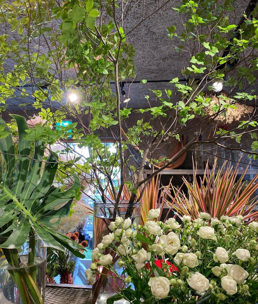 谷正人さんのインスタグラム写真 - (谷正人Instagram)「自宅用に新たな仲間を物色中。 植物は人の心を豊かにしてくれます。 逆に植物に触れてない時は 余裕がない時が多いですね。 #solsopark」7月5日 17時57分 - masato_tani