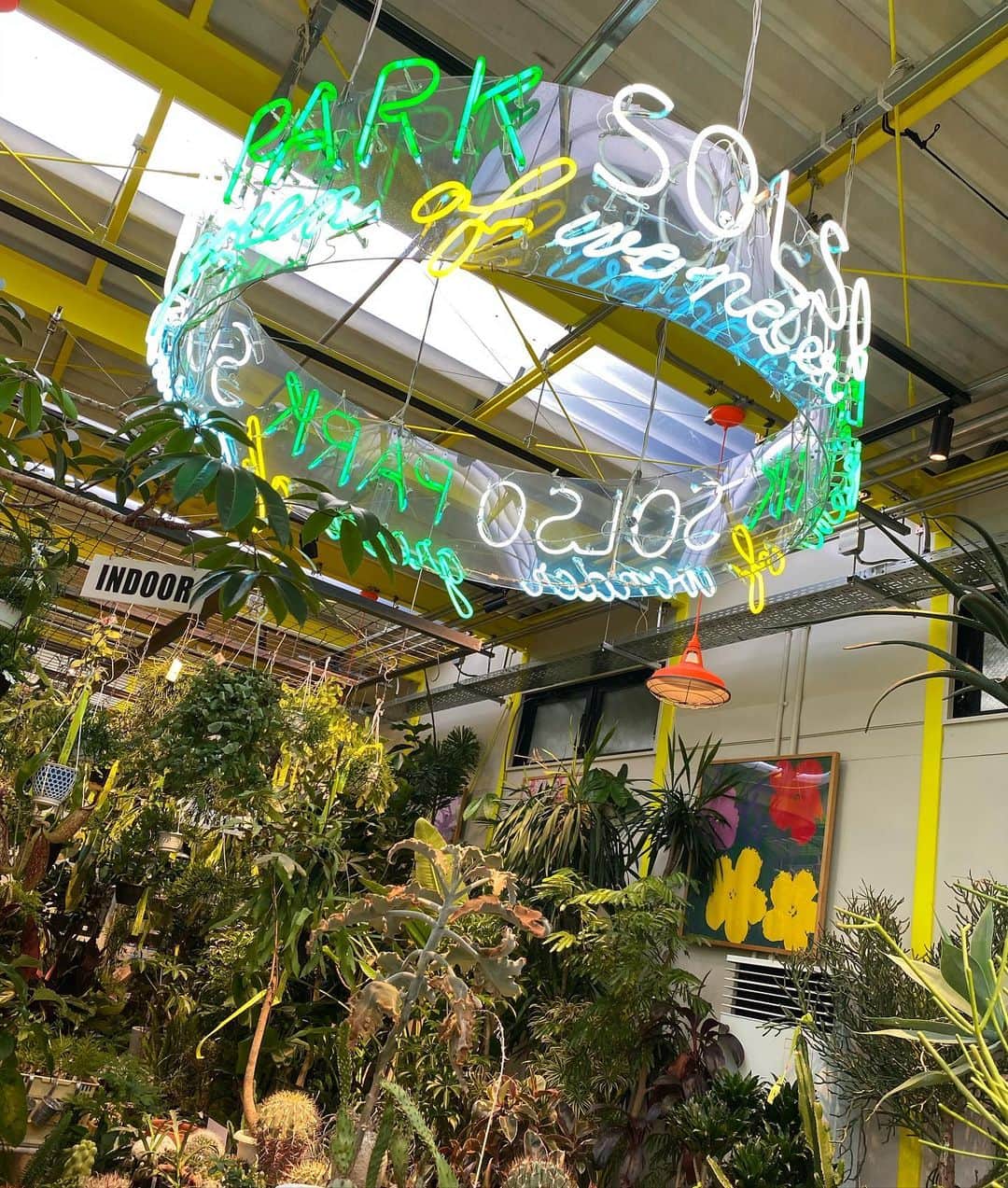 谷正人のインスタグラム：「自宅用に新たな仲間を物色中。 植物は人の心を豊かにしてくれます。 逆に植物に触れてない時は 余裕がない時が多いですね。 #solsopark」