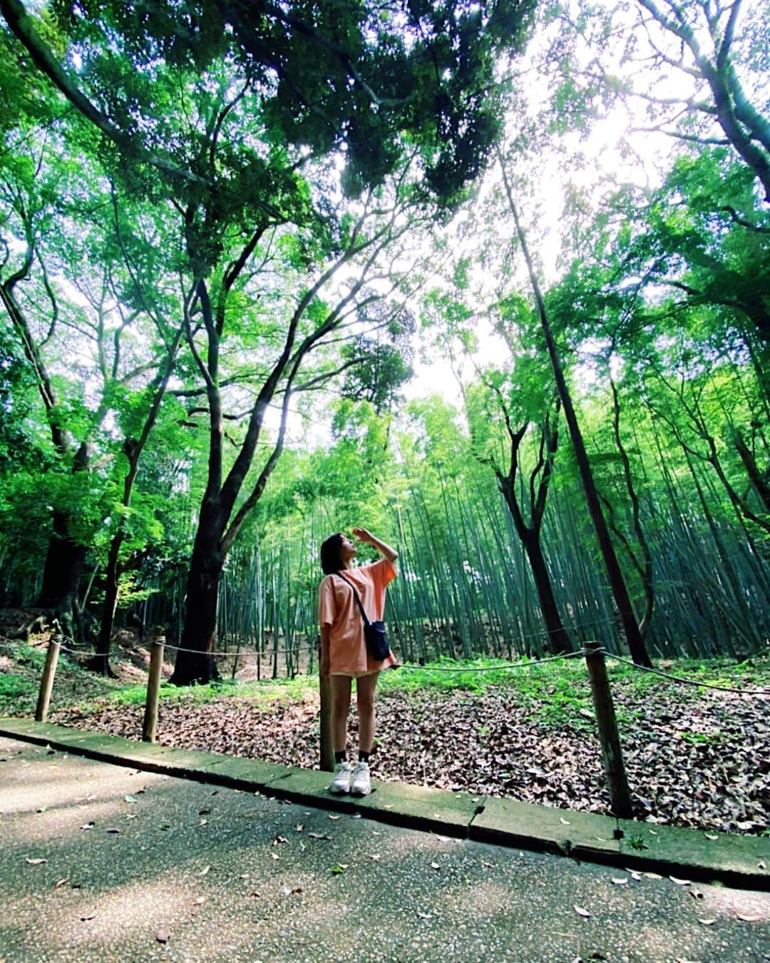 岡畑雛生さんのインスタグラム写真 - (岡畑雛生Instagram)「神社にお参り⛩✨ 紫陽花がとても綺麗〜！ 空気が美味しくて ひなは海より森がスキ🌈🤤  #神社 #神社参拝 #森 #緑  #岡畑雛生#ポートレート#カメラ #被写体 #カメラ女子 #xlarge #ショートヘア #紫陽花」7月5日 18時13分 - hinana_okahata