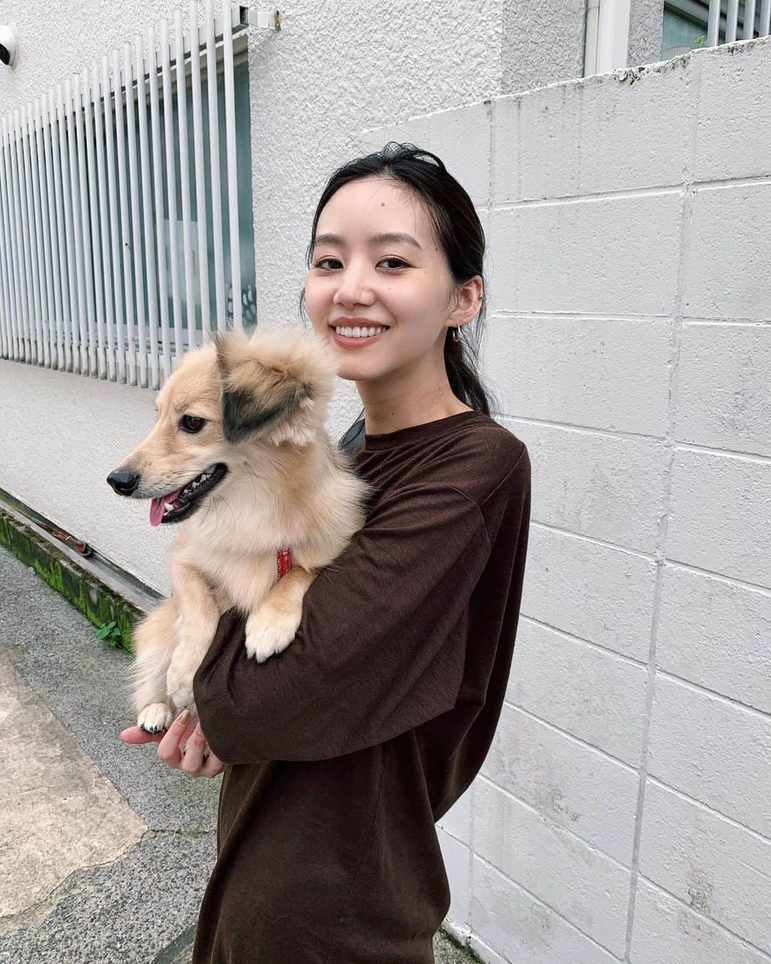 Shiho Sasakiのインスタグラム：「休日🐶 トリミング行ってすっきりしたご様子✂️ わんちゃんは毛皮のコート着てるようなものだから夏は大変だよね🌀 もう5.5kgだから抱っこもひと苦労😂 #休日」