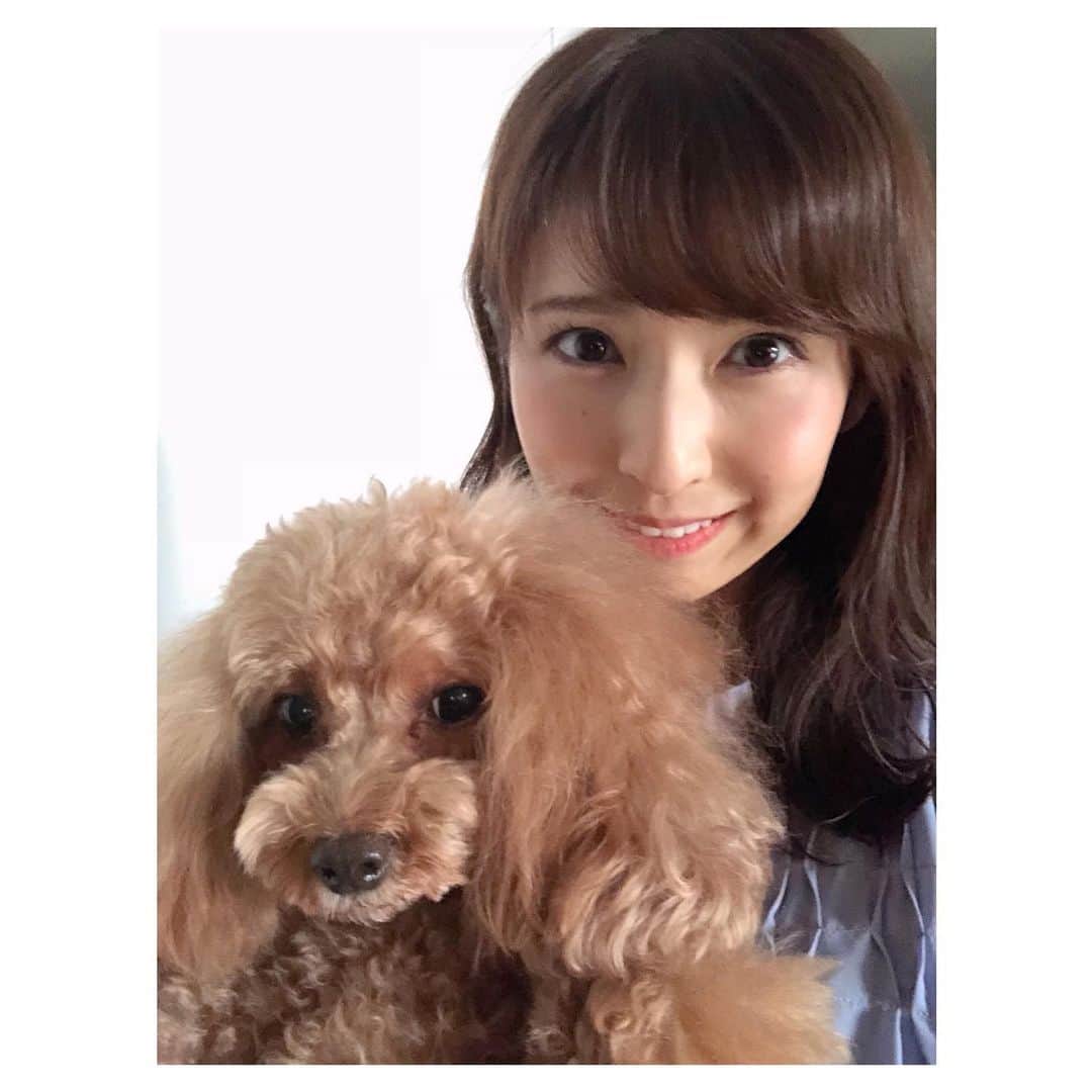 のインスタグラム：「自撮りの仕方もわからなくなるほど久々に撮ってみた📷 私の気合い入りすぎの表情に比べて、こゆきの嫌そうな顔よ...😂😂 . . #トイプードル #トイプー #toypoodle #dog #dogstagram #いぬすたぐらむ #いぬバカ部 #ふわふわ #もふもふ #ふわもこ #ふわもこ部 #犬のいる暮らし」