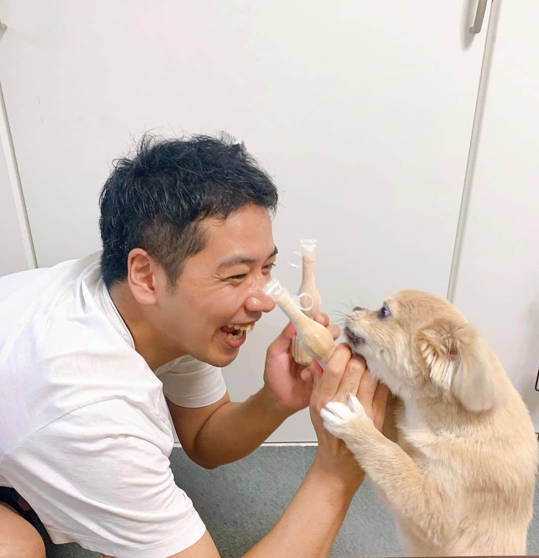 佐藤祐基のインスタグラム：「ムシムシ、ムシャクシャしている時は愛犬ブルーとシェアパピ。 もちろんこの子には食べさせませんが…笑 チューチューしながら自分の頭の中、心の中を整理。 後は #自家製辣油 作成タイム。  #日常 #癒し #癒しわんこ」