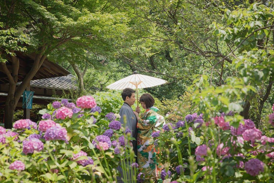 スタジオAQUA 横浜店さんのインスタグラム写真 - (スタジオAQUA 横浜店Instagram)「*﻿ 新緑の日本庭園に鮮やかなあじさいの花✨﻿ ﻿ 季節感が分かるお写真が残せるのは﻿ ロケーション撮影の魅力ポイントです☝️🏻﻿ ﻿ ﻿ おかげさまでたくさんのご予約、﻿ お問い合わせをいただいております🙇‍♀️﻿ 撮影のお問い合わせはお早めに！﻿ ﻿ ﻿ photographer﻿ @hiroki_m.studioaqua  ﻿ ﻿ hairmake﻿ @kiyoka.y_hm_aqua  ﻿ ﻿ ﻿ デコルテ公式アカウント﻿ ▷▷ @decollte_weddingphoto﻿ ﻿ ﻿ スタジオアクア横浜みなとみらい店🎡﻿ ▷▷ @studioaqua_yokohama﻿ ﻿ スタジオアクア富士店🗻﻿ ▷▷ @studioaqua_fuji﻿ ﻿ ＼オンライン撮影相談会スタート✨／﻿ お店に行かなくても﻿ パソコン・スマートフォンから﻿ 前撮り、フォトウエディングの相談が可能！﻿ 当店HPよりご予約受付中！﻿ ﻿ ﻿ 6月1日より営業再開✨﻿ お得な割引キャンペーンも実施中！﻿ HPを要チェック✔﻿ ﻿ ﻿ #d_weddingphoto﻿ #スタジオアクア﻿ #スタジオアクア横浜店﻿ #スタジオアクア富士店﻿ #撮る結婚式﻿ #ウェディング﻿ #ウェディングフォト﻿ #フォトウェディング﻿ #フォトスタジオ﻿ #花嫁﻿ #プレ花嫁﻿ #卒花嫁﻿ #関東花嫁﻿ #関西花嫁﻿ #横浜花嫁﻿ #前撮り﻿ #後撮り﻿ #結婚式﻿ #結婚式準備 ﻿ #ヘアメイク﻿ #ヘアアレンジ﻿ #洋装前撮り﻿ #和装前撮り﻿ #2020夏婚﻿ #2020秋婚﻿ #2020冬婚﻿ #プレ花嫁さんと繋がりたい﻿ #全国のプレ花嫁さんと繋がりたい﻿ #日本中のプレ花嫁さんと繋がりたい﻿ #結婚式延期」7月5日 18時52分 - studioaqua_yokohama