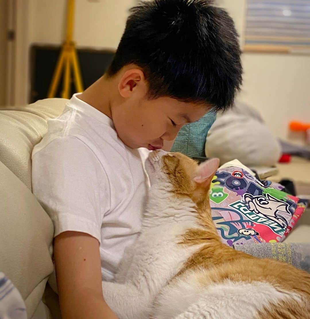 ブラザー4チャンネルのインスタグラム：「メス猫アキちゃんは最近だいちゃんにベッタリ…💕﻿ ﻿ アキちゃんにとってだいちゃんはお兄ちゃんなのかな？﻿ ﻿ #brother4﻿ #猫好き﻿ #ラブラブ﻿ #猫との暮らし」