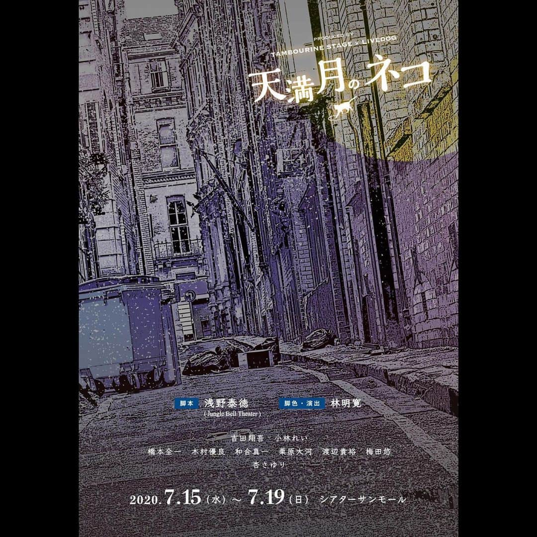 小林玲さんのインスタグラム写真 - (小林玲Instagram)「.﻿ ﻿ ﻿ #舞台『天満月のネコ』﻿ ビジュアル解禁されました☺︎﻿ ﻿ ﻿ ヒロインのミヅキを演じさせて頂きます♪﻿ 珍しく見た目が乙女な感じ〜笑﻿ ﻿ ﻿ 稽古も順調に進んでいて、﻿ みんなの笑いが絶えなくて！﻿ 毎日楽しいです*\(^o^)/*﻿ ﻿ ﻿ シアターサンモールにて﻿ 7月15日〜19日公演です🐈✨  #japanesegirl  #girl #white  #instagood  #stage」7月5日 19時38分 - rei.kobayashi