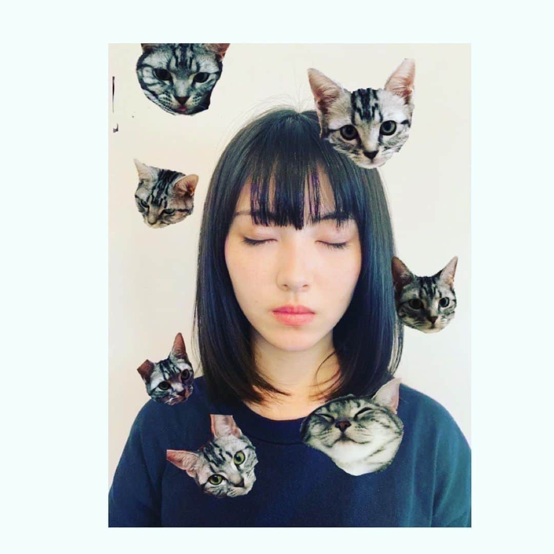 浜辺美波さんのインスタグラム写真 - (浜辺美波Instagram)「昨日のコメントで ねっことのツーショットを 投稿するのはどうでしょう、と いただけましたので、、、 増やしてみました☺︎☺︎  たくさんのコメントありがとうございました☺︎全部ありがたく参考にさせていただきますね!!」7月5日 20時12分 - minami_hamabe.official