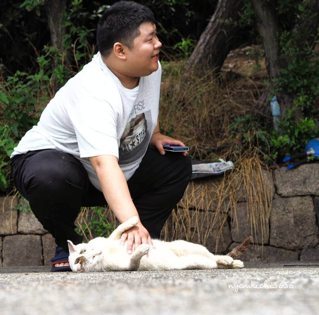 路地裏のにゃん吉さんのインスタグラム写真 - (路地裏のにゃん吉Instagram)「早朝からの猫活でクタクタになって帰り支度してたら ユーキくん登場  もう～撮らずにおれんやん  しかし幸せそうな顔してからに^^"  #生き抜け野良猫 オシとユーキくん #แมว #igersjp#のらねこ部#猫#ねこすたぐらむ#ねこ部#straycat #にゃんすたぐらむ#みんねこ #cats#ファインダー越しの私の世界 #catsofinstagram#catgag #gatto#catloversclub#ペコねこ部#ピクネコ #東京カメラ部#icu_japan#team_jp_西 #고양이#nekoclub #catstagram#広がり同盟 #bestcatclub #gallery_legit #kawaii#love_bestjapan #meow」7月5日 20時06分 - nyankichi5656