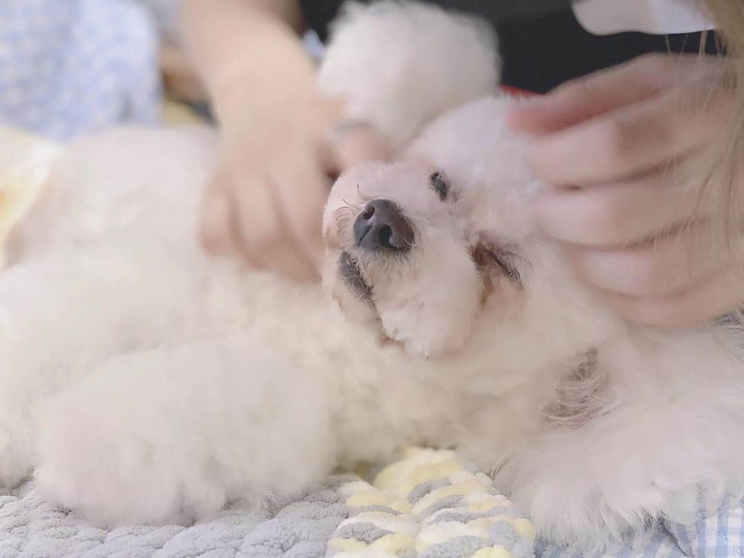 高辻千夏のグルメインスタ