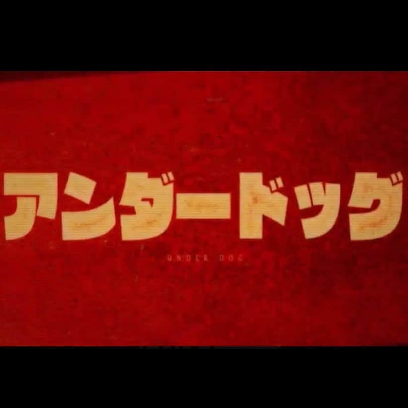 Hiroさんのインスタグラム写真 - (HiroInstagram)「新MV公開！！ 是非チェックしてみて下さい🕺🏼  #myfirststory #jesse #thebonez #rize #perimetron  #アンダードッグ #犬も歩けば棒に当たる #こういうことわざとかのイメージに使われる犬は大体柴犬 #時代は柴犬 #でも最近の犬は高すんぎ #そういうペットを飼ってる人は自分のペットにどうしたのぉ?って聞きがち #どうもしてねーよ #早く飯くれ #お腹減った #今日のご飯は何にしよ」7月5日 20時22分 - hiro_mfs_official