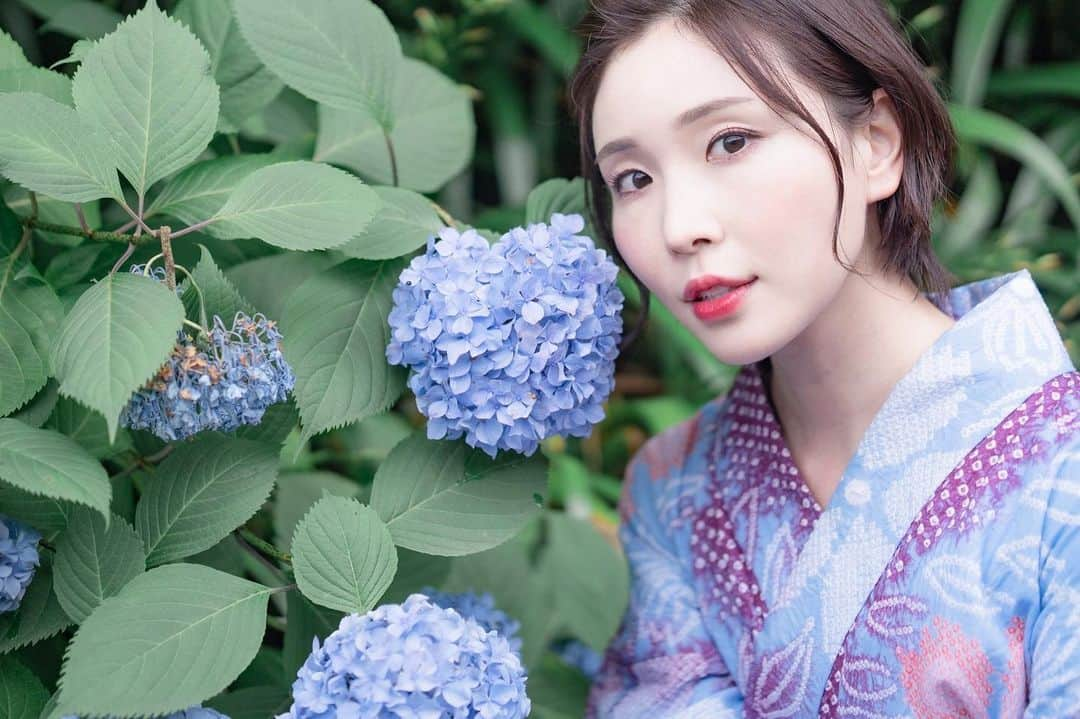 児玉アメリア彩さんのインスタグラム写真 - (児玉アメリア彩Instagram)「滑り込みで﻿ 紫陽花撮影✨﻿ ﻿ ﻿ 和服に合うマスクも買わないとなぁ﻿ ﻿ ﻿ ﻿ ﻿ ﻿ ﻿ #紫陽花 #ポートレート #portrait #instalike #児玉アメリア彩 #ミス日本酒 #日本酒女子 #長野女子 #japanesemodel #selfie #selcagram #kimono #kimonogirls #着物女子 #和服女子 #着物自画撮り部」7月5日 20時23分 - aya_amelia_kodama