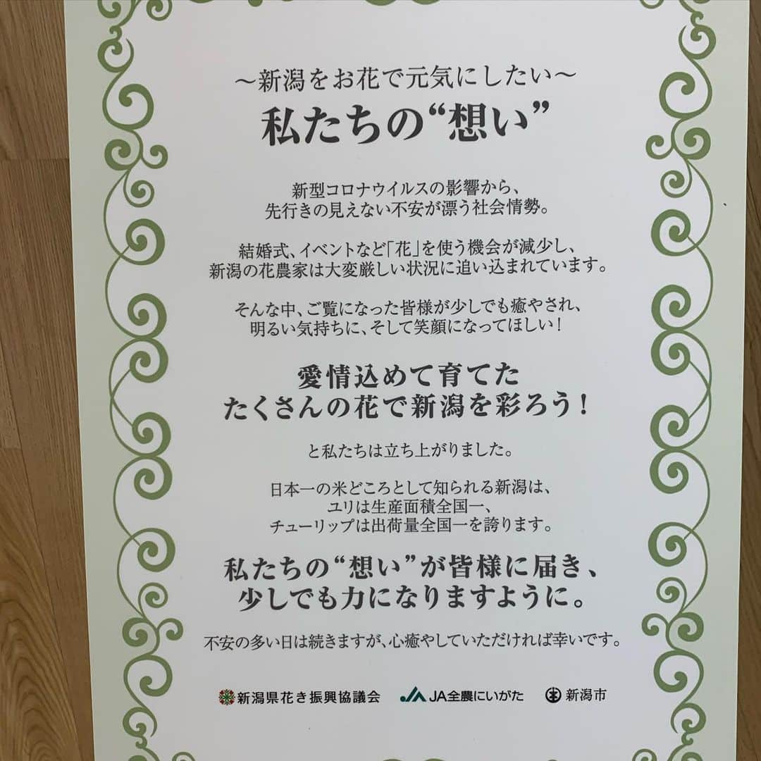 大桃美代子さんのインスタグラム写真 - (大桃美代子Instagram)「Niigata Station is decorated with many flowers🇬🇧  니가타 역은 많은 꽃으로 장식되어 있습니다  新泻站装饰着许多花  新潟駅に花がたくさん飾られています。  コロナ禍でお花の需要が減ってしまいました。  生産者とお花屋さん、そして市が協力して、  花を市民のみなさまにみてもらおうと言うプロジェクトです。  駅の9か所に5000本の花のディスプレー。  花の街新潟。  チューリップは生産量日本一。🌷  ユリは栽培面積日本一なんです。💐  新潟駅に行ったら、是非見てください。  1番多く飾られているのは、  ビックカメラの一階です。  そして、お花を買って家で飾っていただけると幸いです。  魚沼市の堀之内町のカサブランカも最高ですよ。  新潟の花をよろしくお願いします。  ps.マスクはイオン  #新潟市#花いっぱいプロジェクト#ユリ#ひまわり#マリーゴールド#あいみょん#花き農家応援 #コロナ禍#新泻站#niigatstation#니가타역#フルフルフラワーキャンペーン #魚沼市#堀之内町#ユリの花#大桃美代子」7月5日 21時06分 - miyoko_omomo