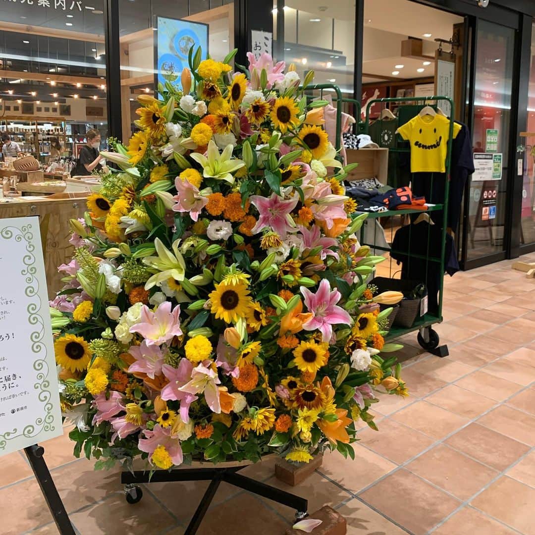 大桃美代子さんのインスタグラム写真 - (大桃美代子Instagram)「Niigata Station is decorated with many flowers🇬🇧  니가타 역은 많은 꽃으로 장식되어 있습니다  新泻站装饰着许多花  新潟駅に花がたくさん飾られています。  コロナ禍でお花の需要が減ってしまいました。  生産者とお花屋さん、そして市が協力して、  花を市民のみなさまにみてもらおうと言うプロジェクトです。  駅の9か所に5000本の花のディスプレー。  花の街新潟。  チューリップは生産量日本一。🌷  ユリは栽培面積日本一なんです。💐  新潟駅に行ったら、是非見てください。  1番多く飾られているのは、  ビックカメラの一階です。  そして、お花を買って家で飾っていただけると幸いです。  魚沼市の堀之内町のカサブランカも最高ですよ。  新潟の花をよろしくお願いします。  ps.マスクはイオン  #新潟市#花いっぱいプロジェクト#ユリ#ひまわり#マリーゴールド#あいみょん#花き農家応援 #コロナ禍#新泻站#niigatstation#니가타역#フルフルフラワーキャンペーン #魚沼市#堀之内町#ユリの花#大桃美代子」7月5日 21時06分 - miyoko_omomo